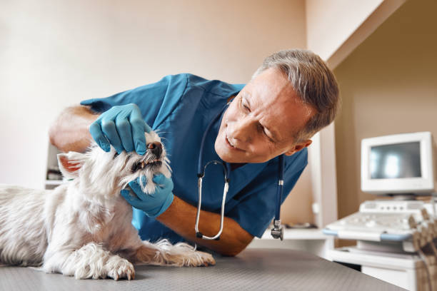 Best Dentist for Tooth Abscess  in Hartville, OH